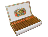 Saint Luis Rey Regios